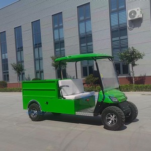 Carrito de Golf Eléctrico de 2 Plazas, Diseño Pequeño Personalizado, Buggy de Golf Verde, Herramientas de Golf de Alta Calidad - Product Image 6