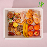 SUMKOKA 2026 Barquette en pulpe de bagasse de canne à sucre biodégradable, vaisselle jetable, boîte repas, contenant alimentaire à emporter