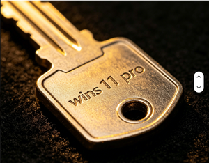 Online Delivery for 5 Y of <strong>Windows</strong> <strong>10</strong> / 11 <strong>Professional</strong> - Product Image 3