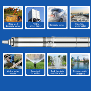 Pompe submersible <span class=keywords><strong>solaire</strong></span> pour puits profond 50m, 2 pouces, 750W DC, en acier inoxydable, <span class=keywords><strong>arrosage</strong></span> automatique - Product Image 6