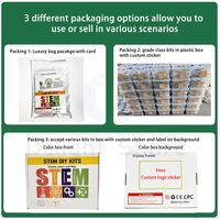 DElight Share Ensemble de puzzles éducatifs STEM - Kits d'expériences scientifiques et d'ingénierie en bois/EVA/plastique pour les élèves du primaire