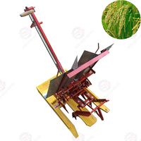 Repiqueuse de Riz Manuelle/Planteuse de Riz/Machine à Planter le Riz Portable et Nouveau Type, en Vente