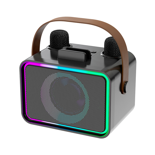 Portable RGB Karaoke Speaker with 2 Wireless Mics, Bt 5.3, AUX/USB/TF Play, 8W Bass & Light Show for Party Outdoor Home