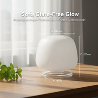 Abat-jour en verre givré transparent fait main, style minimaliste, mi-siècle, chinois, européen, côtier, scandinave