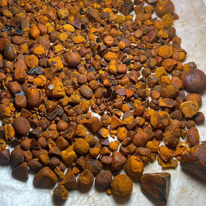 Cálculos Biliares Bovinos Naturales de Alta Pureza, Grado Premium de Exportación, a Prueba de Humedad al Vacío, 2 Años de Vida Útil, Suministro con Empaque Personalizado - Product Image 6