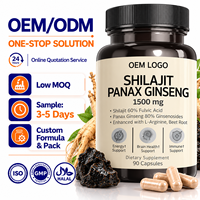 Capsules OEM de Shilajit et de Panax Ginseng 1500mg, 60% Acide Fulvique avec L-Arginine, Complément Herbal Bien-être à base de Racine de Betterave, 90 Gélules