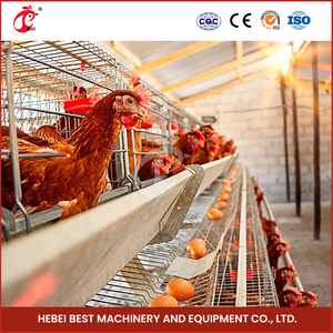 Utilisation optimisée de l'espace un type de modules de système de cage de poulet de couche automatique pour les poules 96-200 soutenant la gestion efficace de ferme - Product Image 2