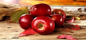 Liposom Polifenol Apel 50%-70% Ekstrak Buah Apel Bubuk Ekstrak Apel - Product Image 3