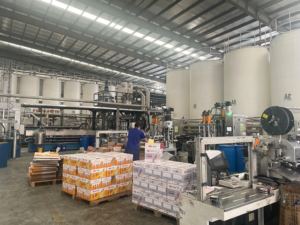 M-998 콘크리트 실리콘 실란트 비후 구조 중립 큐어 실리콘 실란트 접착 방수 실리콘 실란트 배럴 - Product Image 6