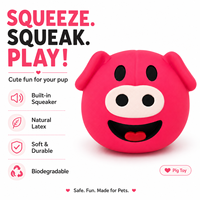 Jouet à mâcher pour chien en caoutchouc naturel, écologique, couineur, pour la dentition des chiens