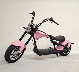 Moto électrique EEC 2026, scooter chopper à 2 roues, pneus larges, <span class=keywords><strong>Citycoco</strong></span> <span class=keywords><strong>Junior</strong></span> 4000w, puissant, pour adultes - Product Image 1