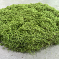 Gazon artificiel en mousse de sphaigne, gazon vert, aménagement paysager, mousse filamentaire, durable, écologique, plante, anniversaire, Pâques, réaliste