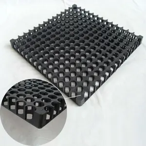 30*500*500 mm black color drainage cell and drainage board for roof garden and basement wall