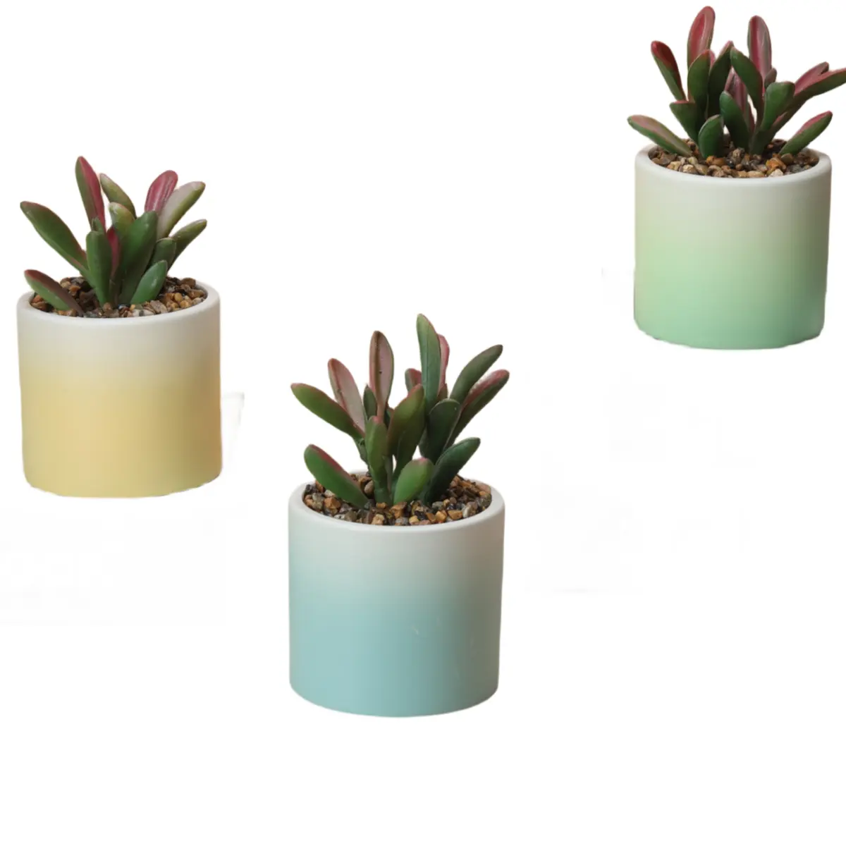 Stylish Gradient Succulent ceramic planter pot Good-Looking ceramic pots for plants Home Office and Photography