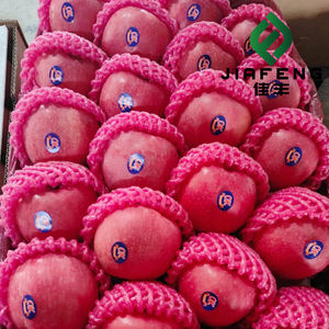 Apel Royal Gala Segar, Apel Merah Golden Delicious - Product Image 2