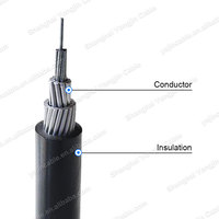 Câble d'alimentation basse tension Triple E ABC en aluminium XLPE, résistant aux intempéries, pour l'électrification rurale