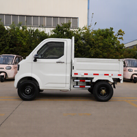Mini camionnette électrique 2 places à benne basculante, homologuée CEE COC, pour adultes, type tricycle à 4 roues, mini-camion chinois