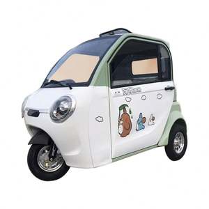 Cabine Passager Adulte Luxe Personnalisé Famille 3 Roues Voiture Électrique 60V Fermé EEC Tricycle Électrique - Product Image 1