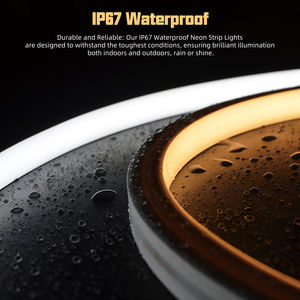 Cuerda de Luz LED de Neón Flexible, Luces de Fiesta, Letrero LED 0612 1212 1615, Letrero Luminoso DIY, Luces LED de Neón Multicolor - Product Image 3