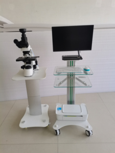 Analisa Kualitas Sperma Otomatis dengan Visualisasi Data Cerdas untuk Diagnosis Infertilitas Pria - Product Image 1