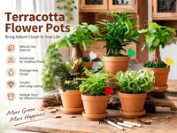Pots à fleurs en terre cuite en gros avec soucoupes pour plantes d'intérieur et d'extérieur