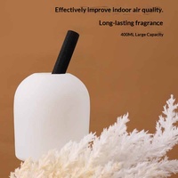 Diffuseur d'arômes créatif en verre épaissi, ornement de parfum d'intérieur haut de gamme, bouteille vide transparente pour aromathérapie