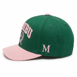 Gorra de Béisbol de 5 Paneles con Logotipo Bordado Personalizado OEM ODM, Gorra Trucker de Alta Calidad con Visera Curva de Algodón Verde - Product Image 3