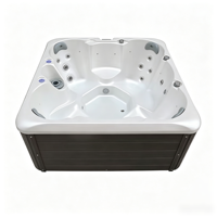 Baignoire de massage en acrylique grande capacité pour 7 personnes, centre de spa au design moderne