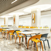 Chaise de restaurant empilable moderne et économique en plastique et acier pour écoles, cafés, cantines et salles de pause - Durable et écologique