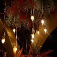 Lustre à 10 têtes Starlight, guirlandes lumineuses décoratives pour la mise en scène de mariage, décoration de plafond pour fête et fond de scène de mariage