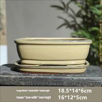 Plateau rectangulaire ovale en porcelaine Yixing Zisha avec trou de drainage, kit de pot de fleurs/bonsaï de bureau traditionnel et écologique