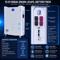 Batterie de stockage d'énergie LiFePO4 32 kWh Solard haute capacité, à décharge profonde, empilable, hybride, avec surveillance intelligente Wi-Fi et fonction de sauvegarde sécurisée