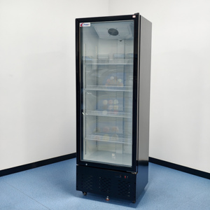 Vetrina Refrigerata Verticale Silenziosa con Controllo Digitale della Temperatura, Porta in Vetro, Frigorifero Commerciale per Negozi di Bevande - Product Image 1