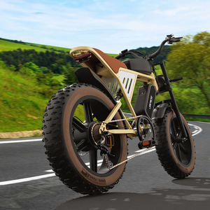 Almacén UE EE. UU. 48V bicicleta 1000W 750W ebike todo terreno e bicicleta de montaña doble motor 34ah bicicleta de carretera eléctrica de largo alcance para hombres - Product Image 3