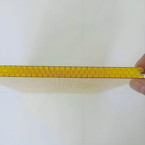 Panneaux en <span class=keywords><strong>polycarbonate</strong></span> haute résistance, feuille de nid d'abeille en plastique <span class=keywords><strong>transparent</strong></span> de haute qualité Starshine pour la construction et la décoration - Product Image 4