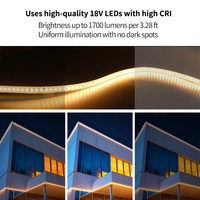 Bande LED en silicone étanche IP67 220V, découpable toutes les 10 cm, dimmable, avec adhésif 3M, longueur max. 20 m, garantie 5 ans