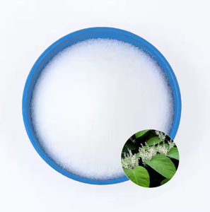 Extracto de planta orgánica de alta pureza, polvo de resveratrol, extracto de hierbas, polvo de resveratrol Natural - Product Image 2