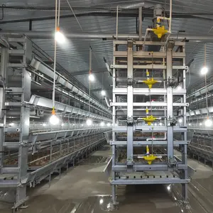 4-Tier H Type Battery Design Broiler Chicken Layer Raising Cage For Africa Farms