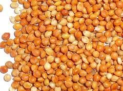 鳥のためのハスク食品の赤ミレーほうきミレー - Product Image 3