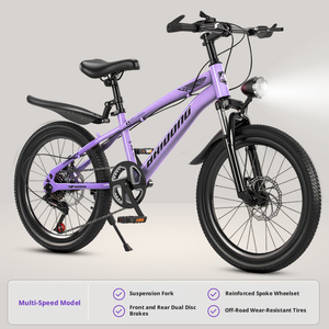 Bicicletta da Montagna Personalizzata in Acciaio ad Alto Tenore di Carbonio per Bambini e Adolescenti, Resistente e Antiruggine, Servizio OEM - Product Image 6