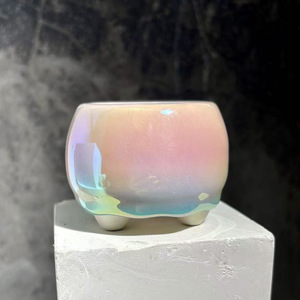 Pot de fleurs pour plantes succulentes avec poignée torsadée, couleur fantaisie, électroplaqué, nacré éblouissant, respirant et résistant à la corrosion - Product Image 2