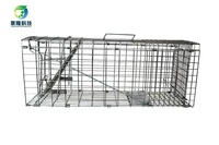 Piège à fil métallique vert écologique Piège à cage pour rat et lapin Piège à souris vivante galvanisé Contrôle des animaux Lutte antiparasitaire