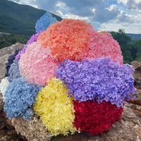 Mini bouquet d'hortensias naturels préservés DIY 20A-40 cm – Fleur artificielle décorative fraîche
