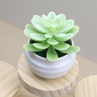 Mini Lotus Artificiel en Plastique en Gros pour Décoration de Table, Plante Imitation Succulente, Fleur Artificielle Verte, Bonsaï