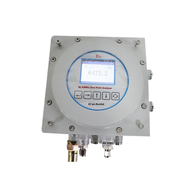 Runlai E300Ex Explosion Proof Gas Dew Point Meter Micro Water Tester Trace Analyzer Customizable Detector High Accuracy Metal