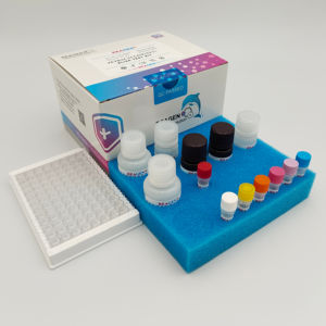Alat uji melamin <span class=keywords><strong>ELISA</strong></span> untuk deteksi residu dalam susu, susu bubuk, umpan, biskuit, dan produk susu - Product Image 1