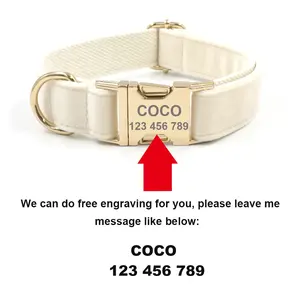 Nuevo Collar para Perro 2024 Serie Frutas de Marzo, de Lujo, de Nailon Reflectante, Acolchado, Personalizable, con Diseño de Arándanos - Product Image 3