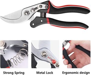 Hydroponic Blade Cutter Stainless Steel Garden Scissor Pruner <strong>Small</strong> Trimming <strong>Pruning</strong> <strong>Shears</strong> Bypass Gardening Tools Garden Work - Product Image 2
