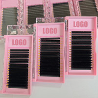 Private Label Volume Velvet Lash Trays Vente en gros Extensions de cils en vison et cachemire Fournitures 0.03 0.05 Extension de cils noir mat