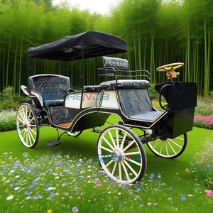 Carruaje Turístico Eléctrico de Doble Fila, Carruaje de Uso Común en Bodas y Hoteles, Carruaje Romántico Estilo Cenicienta, Gran Venta - Product Image 5